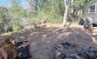 Jensen S.'s photo of camping with pets at Fremont River Dispersed Site near Eggnog, UT