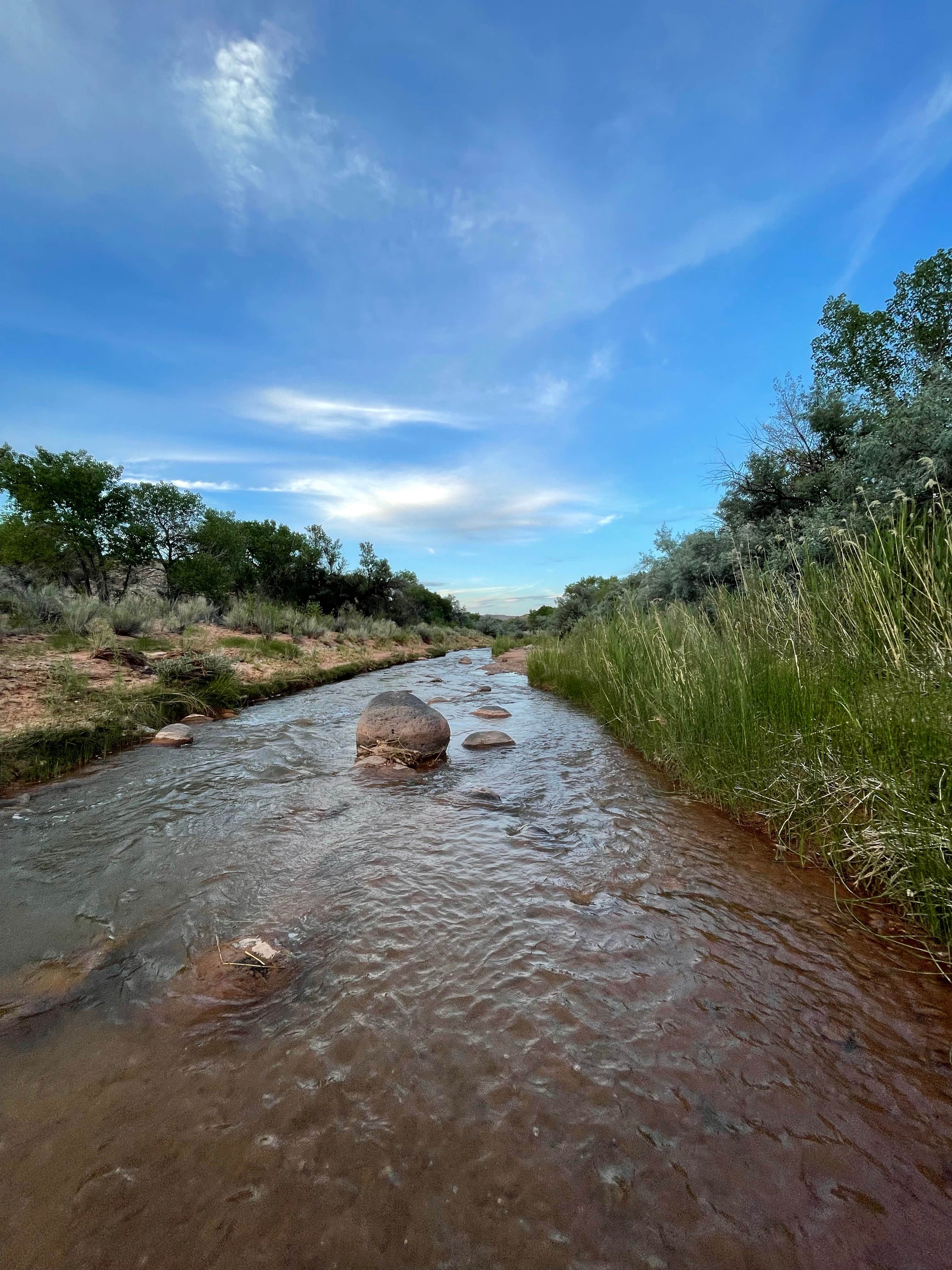 Danielle S.'s photo of a dispersed camping area at Fremont River Dispersed Site near Capitol Reef National Park