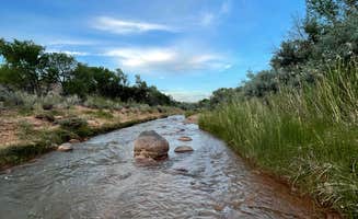 Danielle S.'s photo of a dispersed camping area at Fremont River Dispersed Site near Capitol Reef National Park