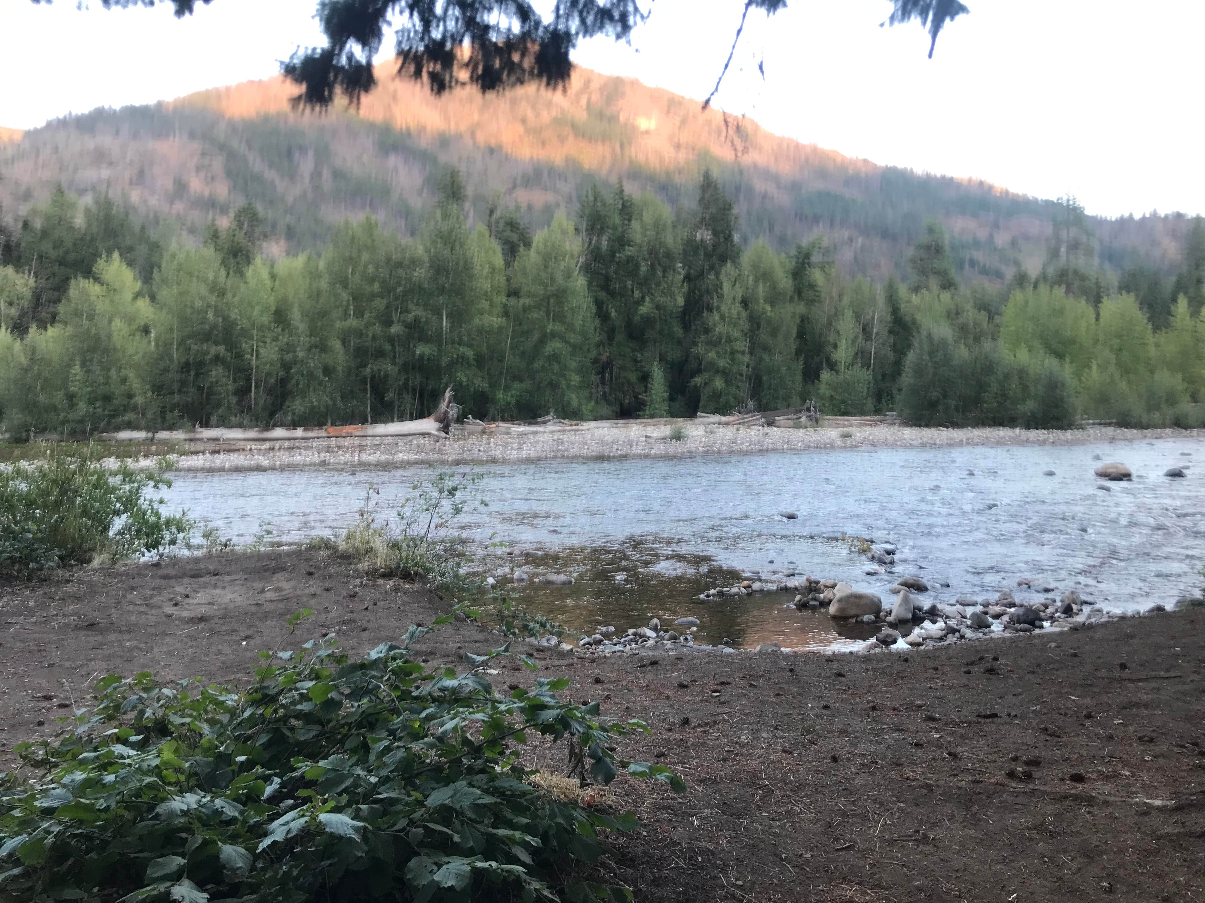 Jamie J.'s photo of a dispersed camping area at French Cabin Creek Recreation Area near Startup, WA