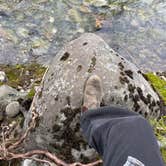 Review photo of French Cabin Creek Recreation Area by Hannah H., April 24, 2026