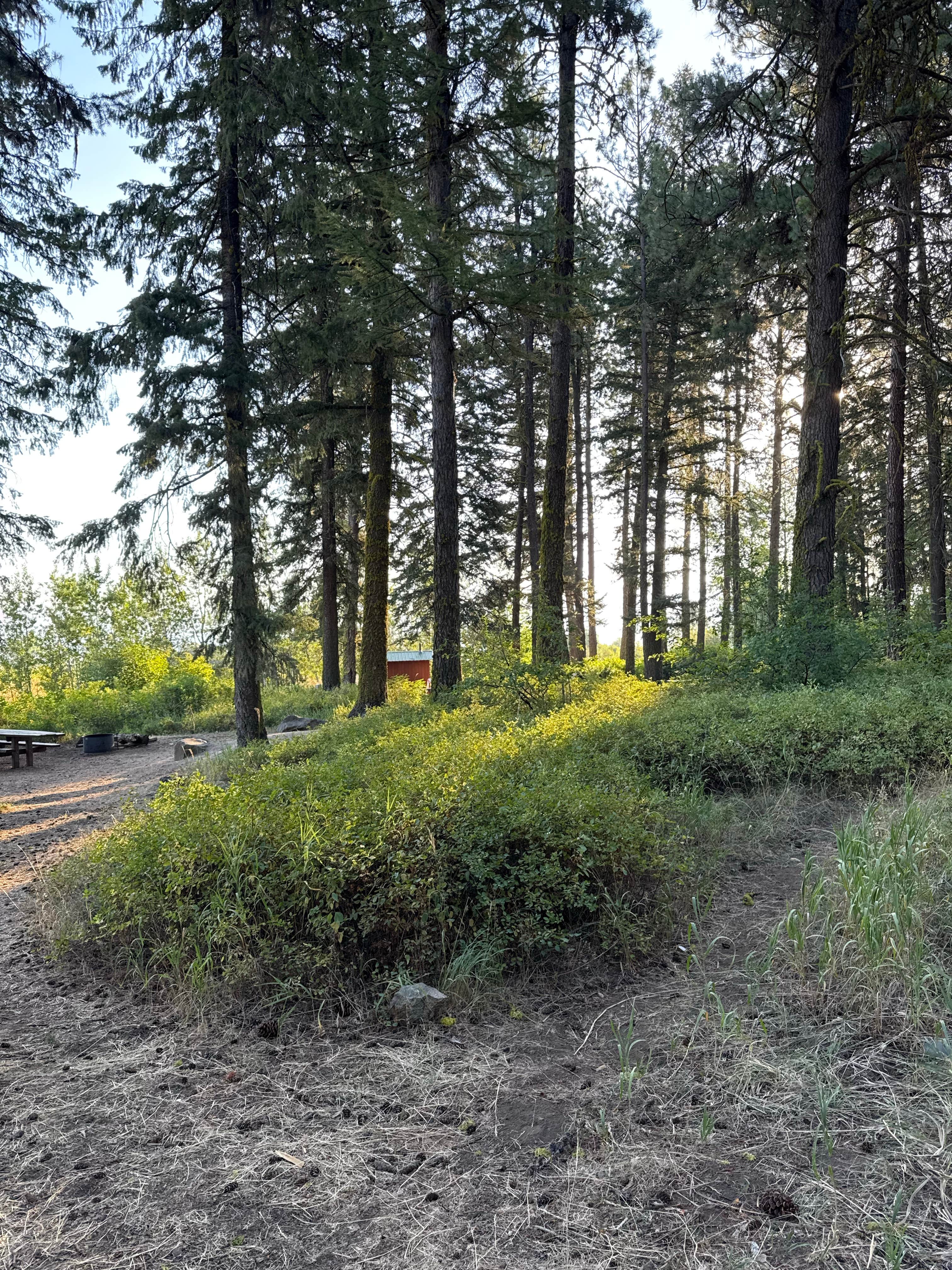 Camper submitted image from French Creek Campground - 5