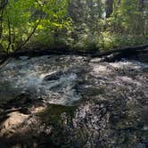 Review photo of French Creek Campground by gary B., June 19, 2025