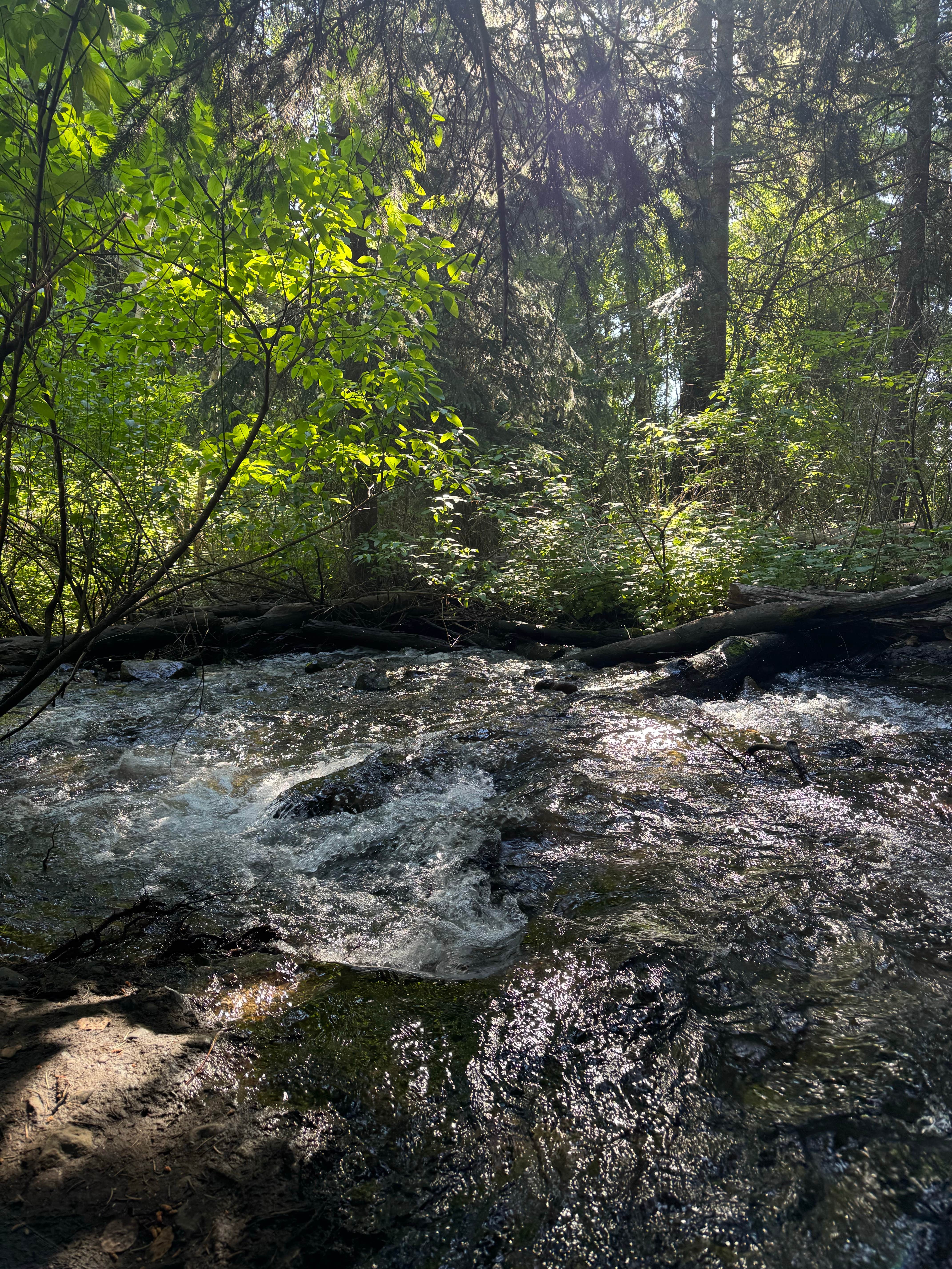 Camper submitted image from French Creek Campground - 5