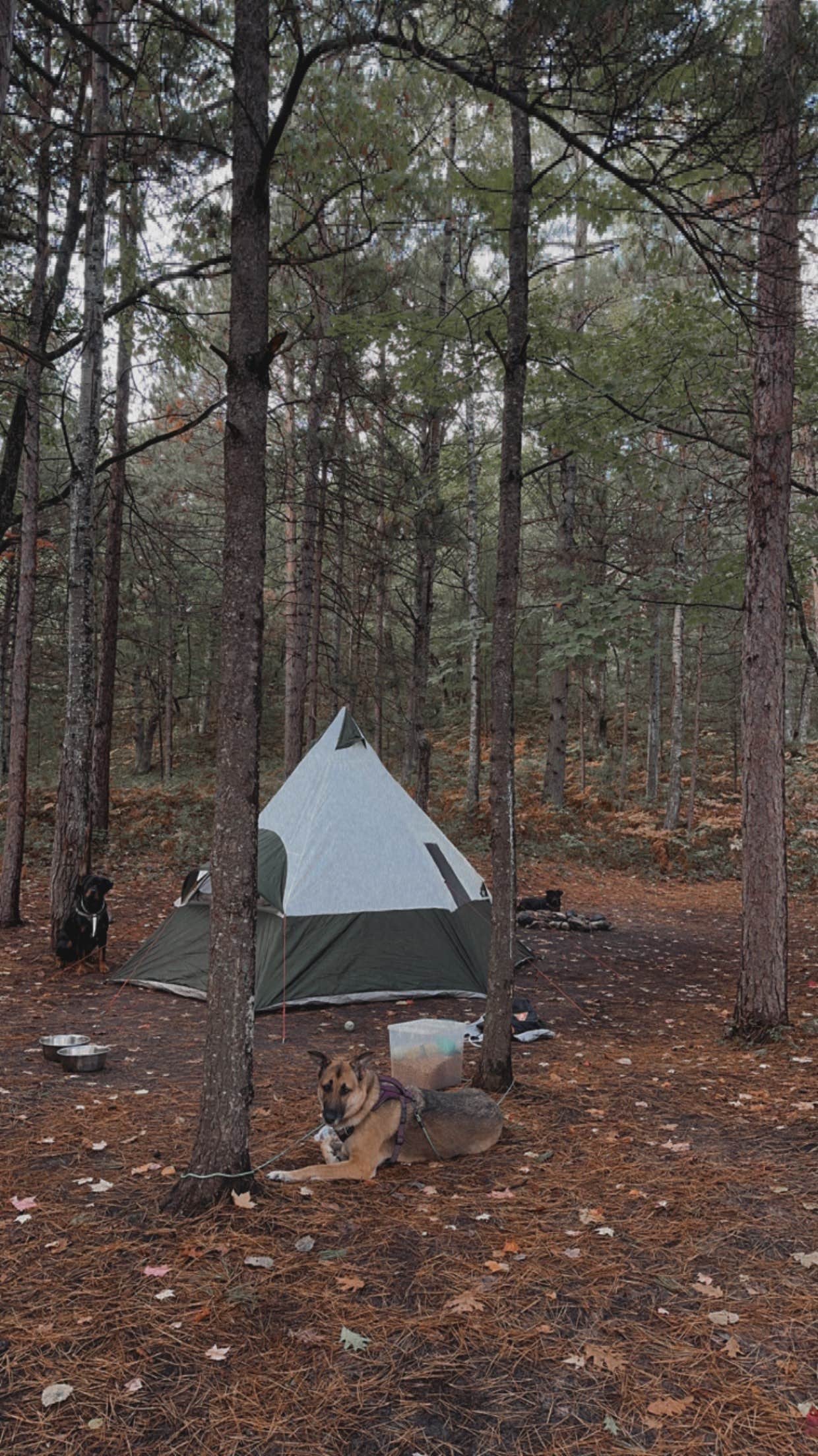 Camper-submitted photo at French Farm Lake Rd near Cross Village, MI