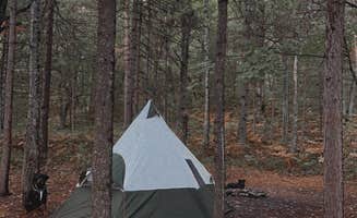 Emily's photo of camping with pets at French Farm Lake Rd near Cross Village, MI