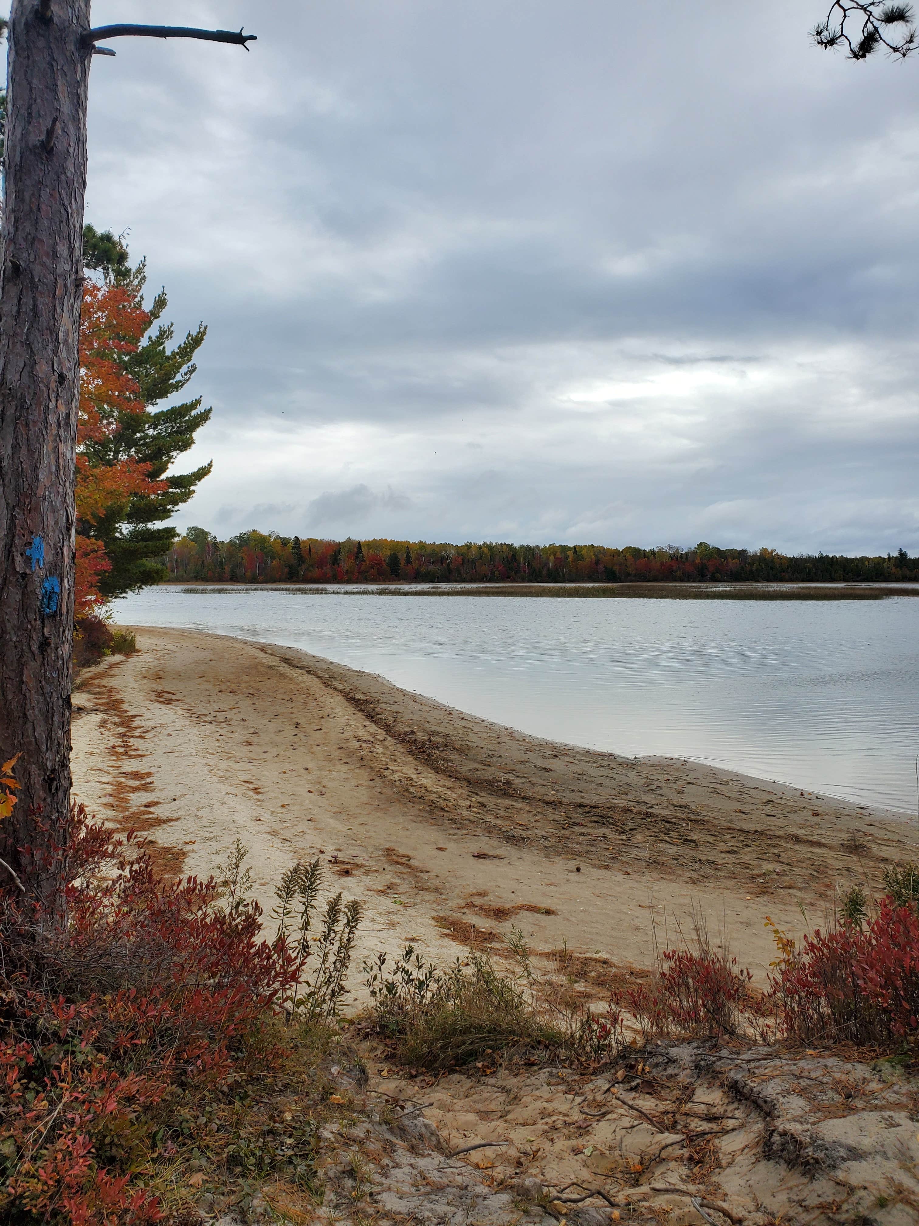 Camper-submitted photo at French Farm Lake Rd near Cross Village, MI