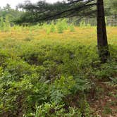Review photo of French Farm Lake Rd by Shannon D., August 23, 2026
