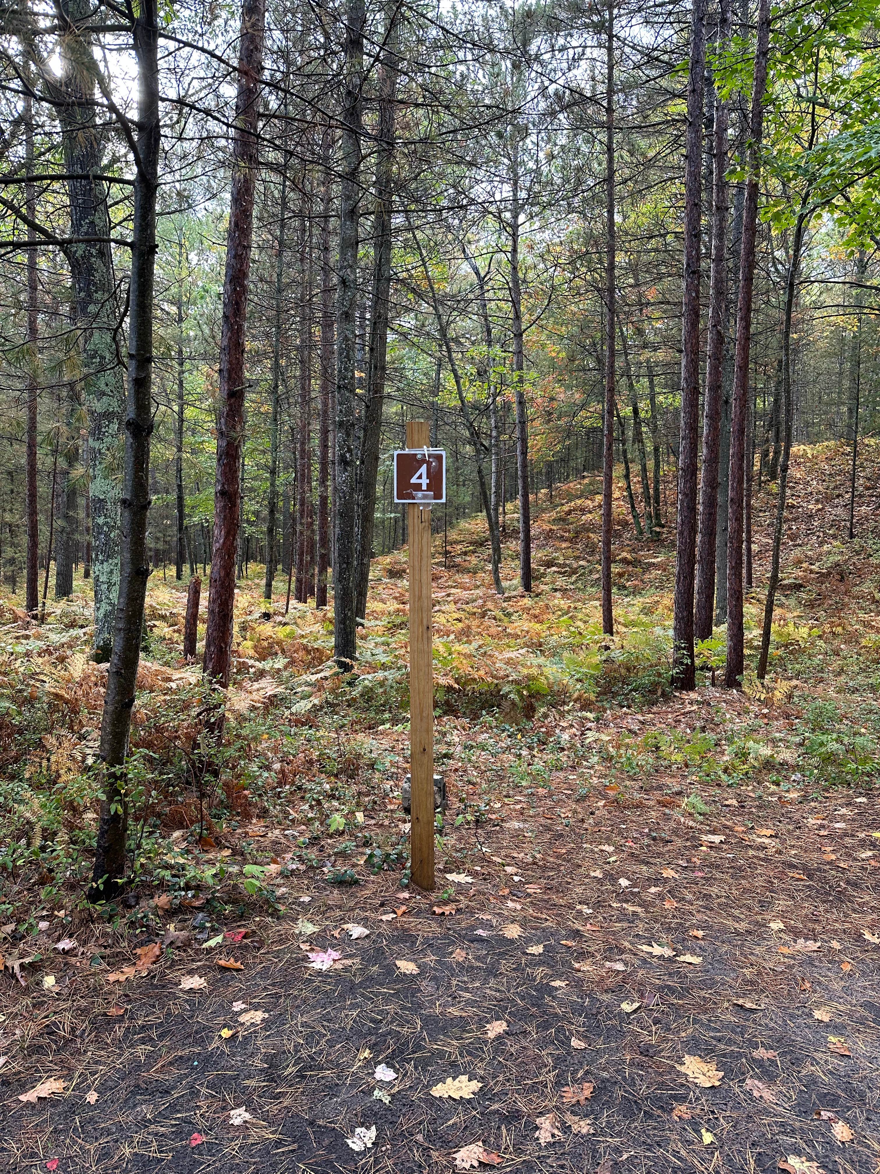 Camper-submitted photo at French Farm Lake Rd near Cross Village, MI