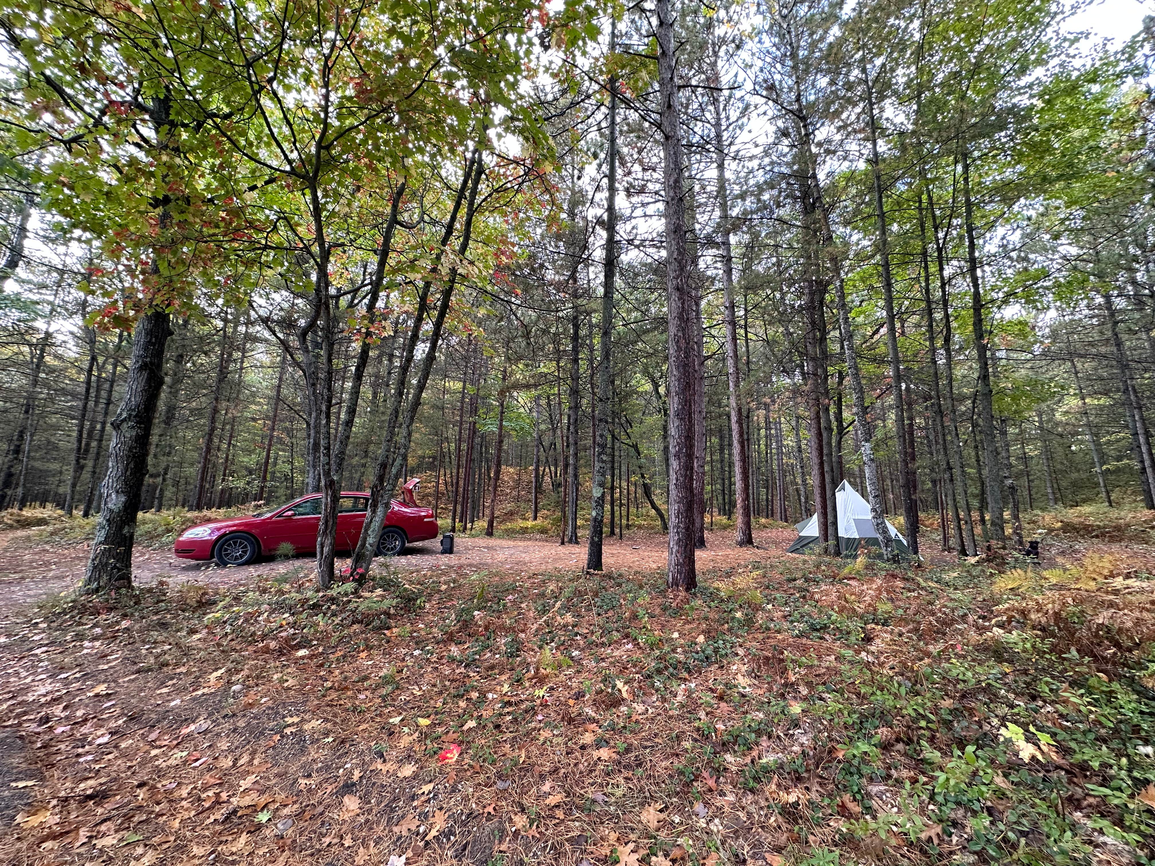 Camping near O’Neal Lake campsite - Wilderness State Park: French Farm Lake Rd, Mackinaw City, Michigan