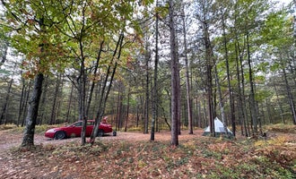 Camping near Wilderness State Park Camping: French Farm Lake Rd , Mackinaw City, Michigan