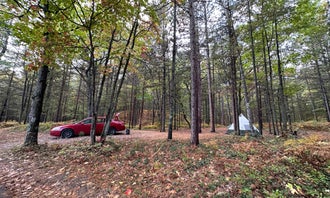 Camping near Wilderness State Park Camping: French Farm Lake Rd , Mackinaw City, Michigan