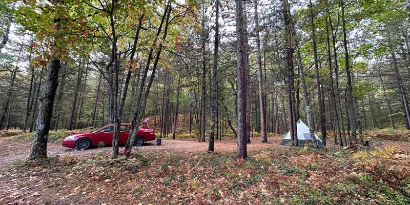 Camper submitted image from French Farm Lake Rd