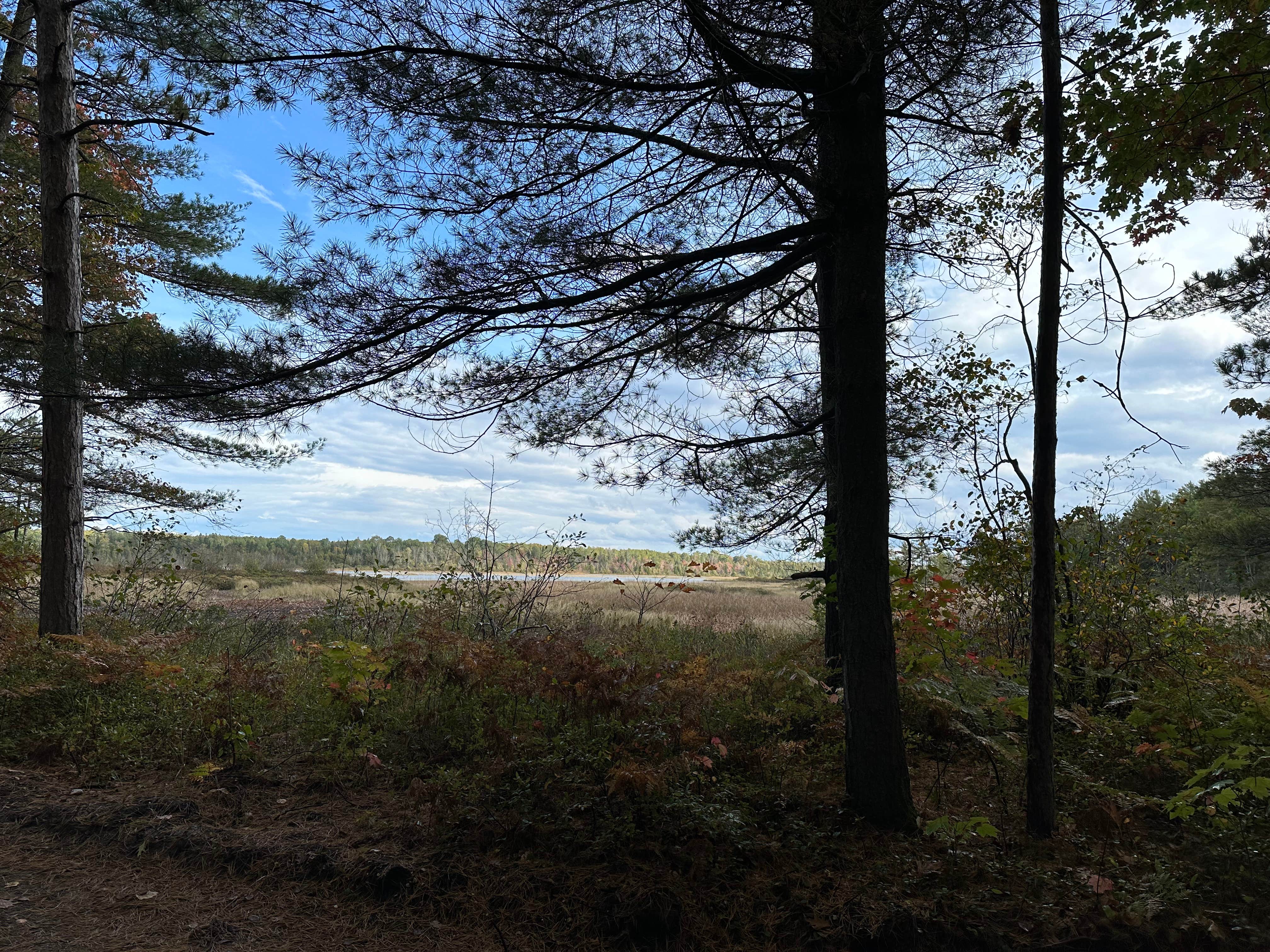 Camper-submitted photo at French Farm Lake Rd near Cross Village, MI