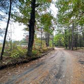 Review photo of French Farm Lake Rd by Emily , October 6, 2023