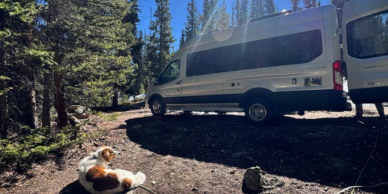 Camper submitted image from French Pass Trail Dispersed