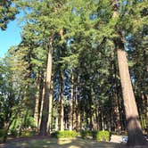 Review photo of French Prairie Rest Area (Northbound) by Cecil B., July 11, 2026