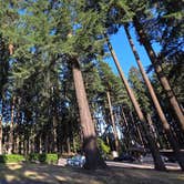 Review photo of French Prairie Rest Area (Northbound) by Cecil B., July 11, 2026