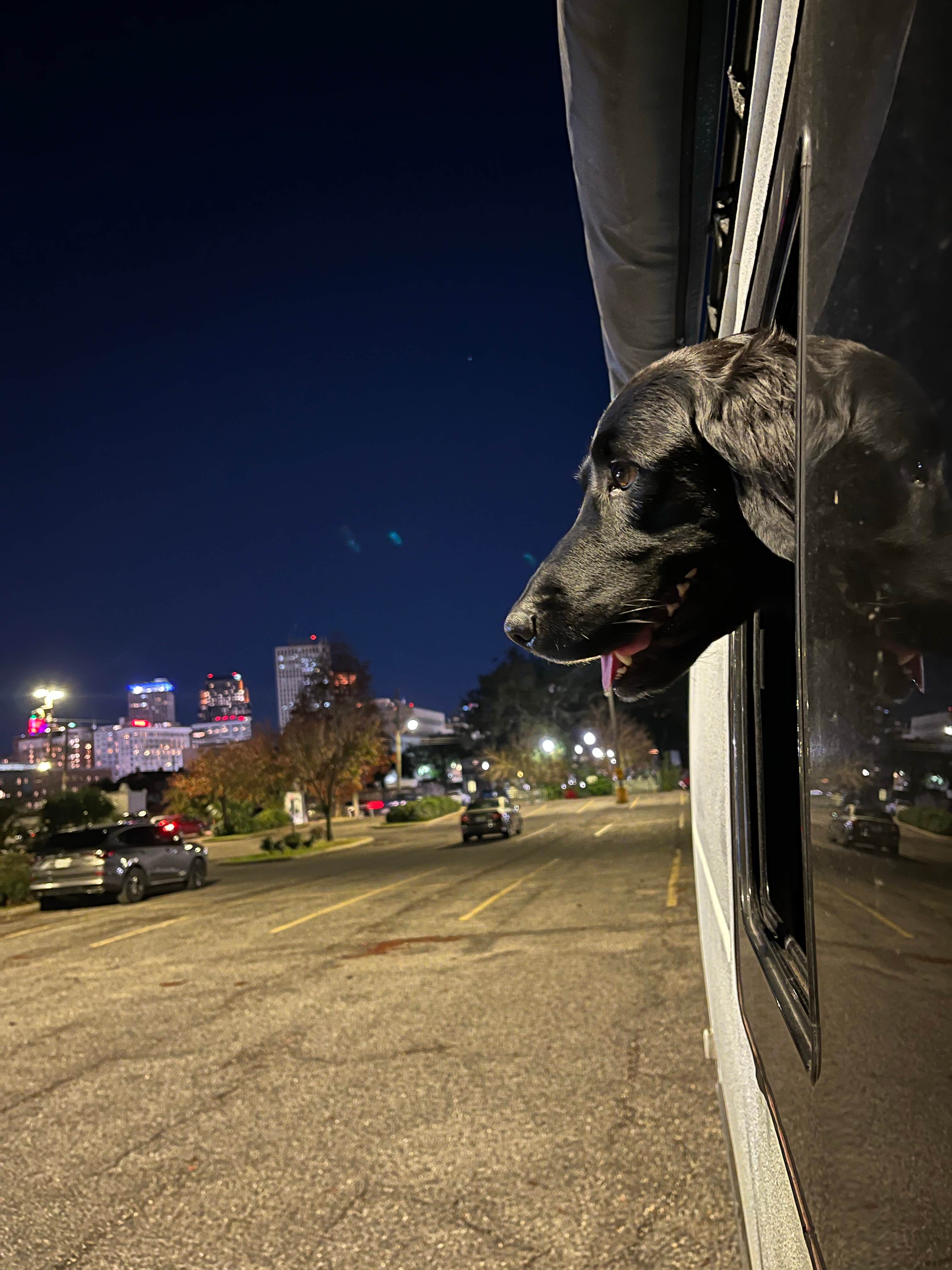 Nick A.'s photo of camping with pets at French Quarter Public Parking - Basin Lot near Houma, LA