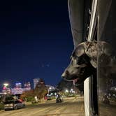 Review photo of French Quarter Public Parking - Basin Lot by Nick A., December 30, 2024