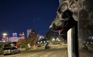 Nick A.'s photo of camping with pets at French Quarter Public Parking - Basin Lot near New Orleans, LA