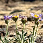 Review photo of Frenchman Coulee Dispersed Camping by Bre C., July 19, 2024