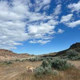 Review photo of Frenchman Coulee Overland Overlook Dispersed Campsite by Katie C., May 14, 2025
