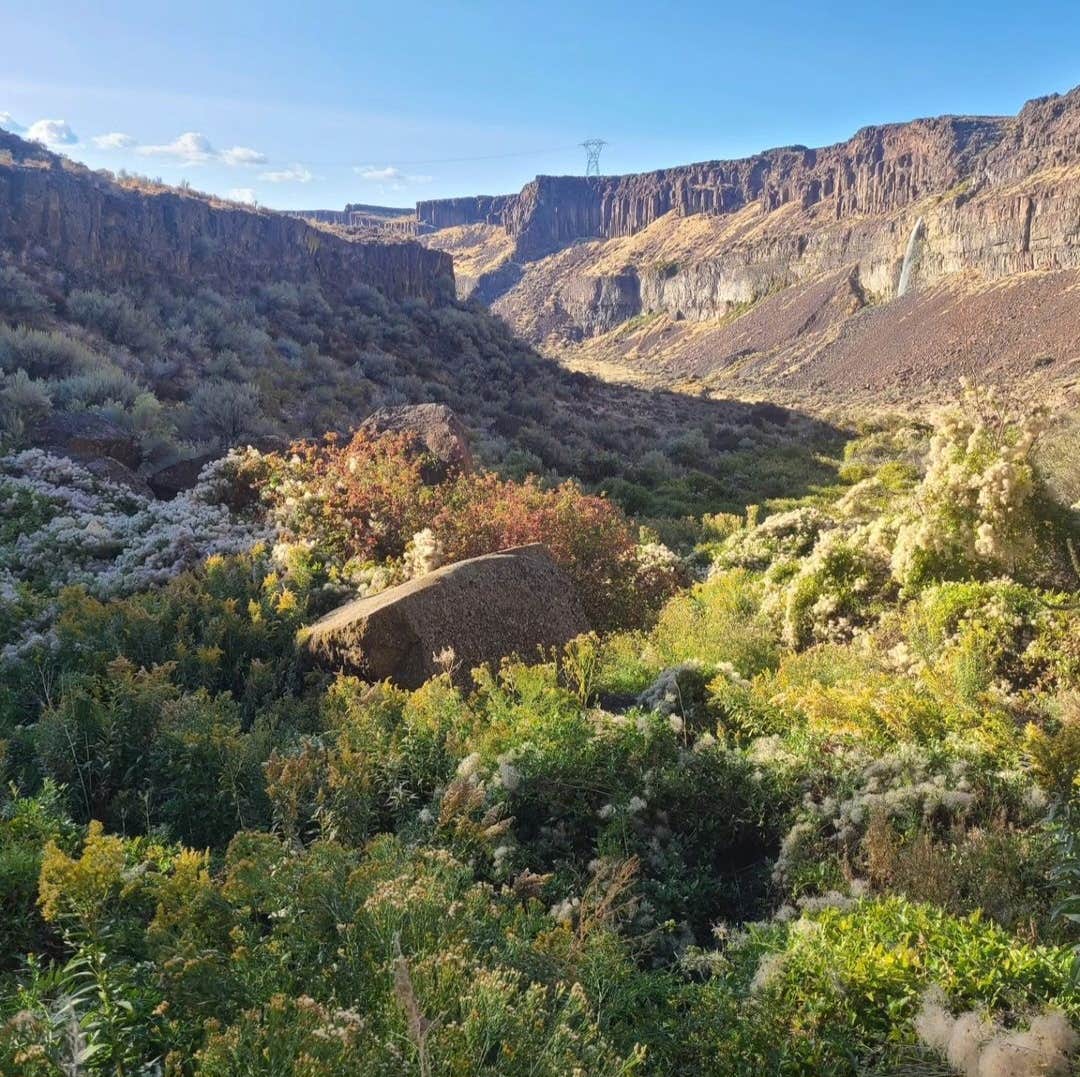 Camper submitted image from Frenchman Coulee Overland Overlook Dispersed Campsite - 1