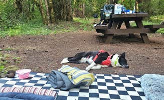 S's photo of camping with pets at Frissell Crossing Campground near Westfir, OR