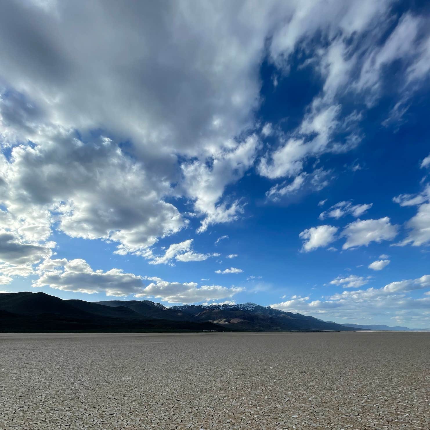 Frog Spring in Alvord Desert Camping Frenchglen, OR