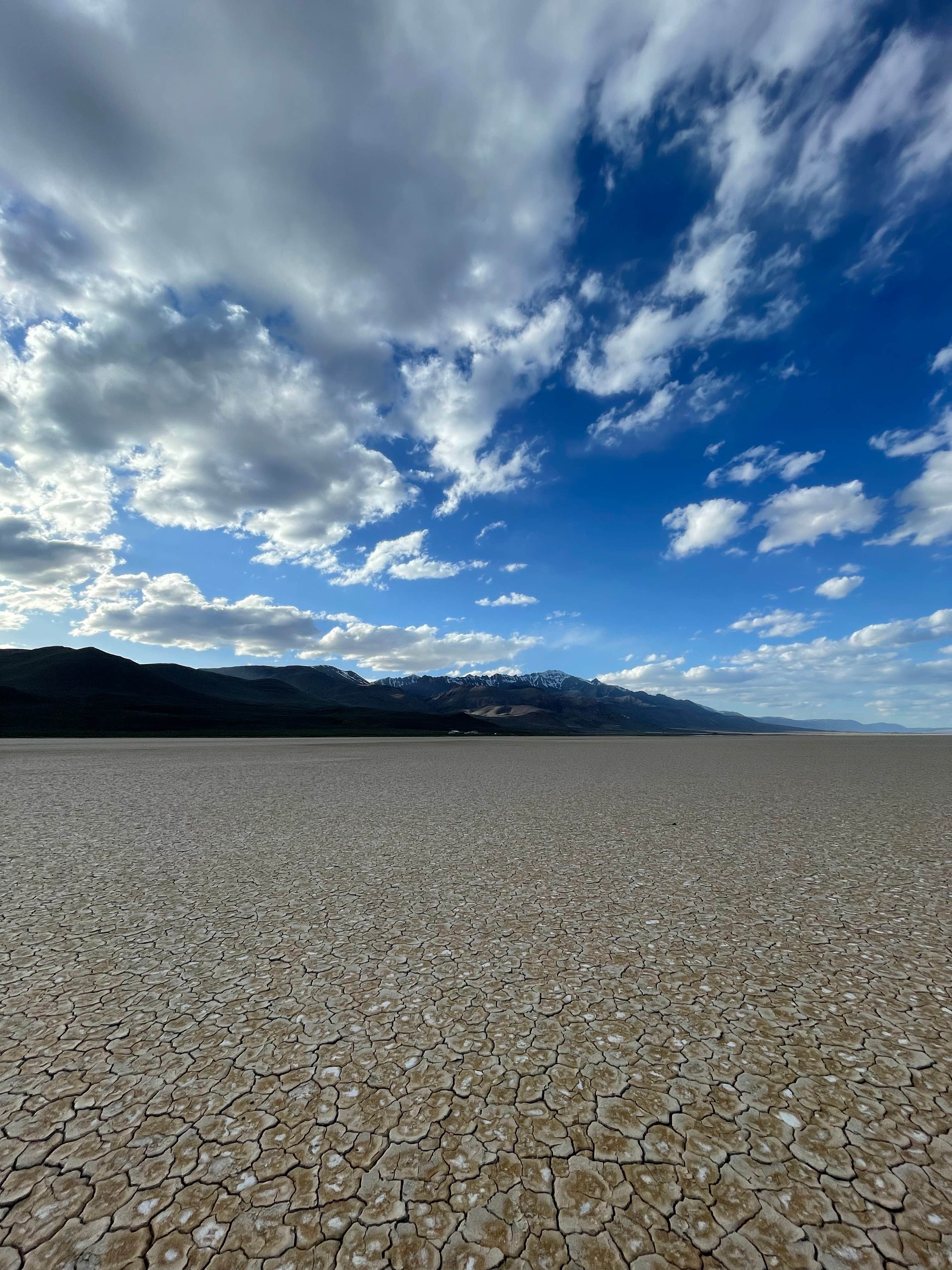 Camper submitted image from Frog Spring in Alvord Desert - 1