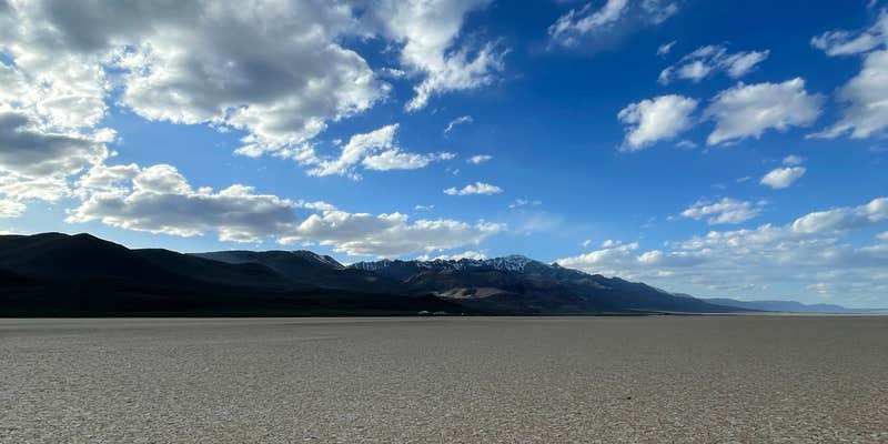 Camper submitted image from Frog Spring in Alvord Desert