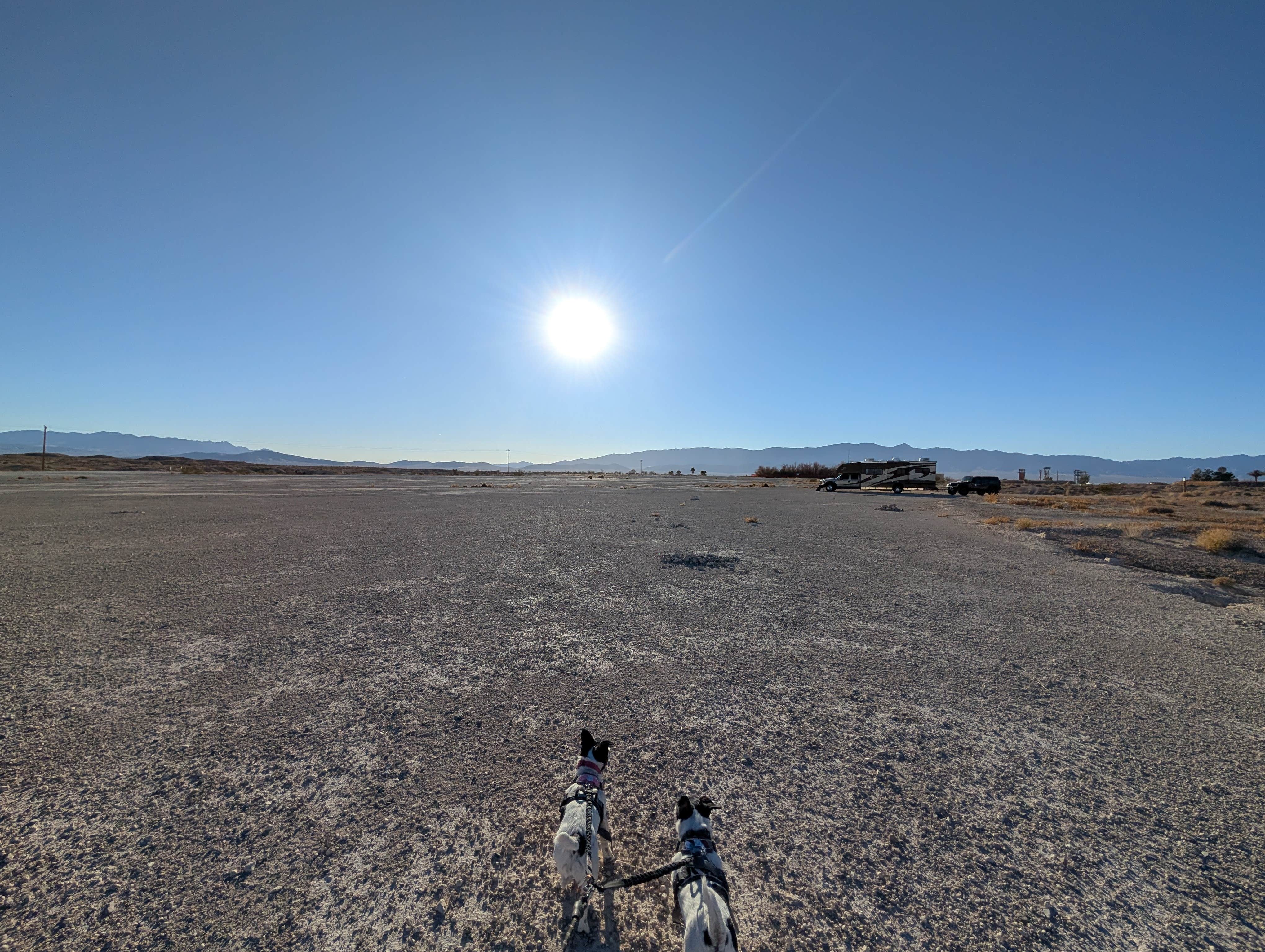 Savannah A.'s photo of a dispersed camping area at Front Sight Campground near Jean, NV