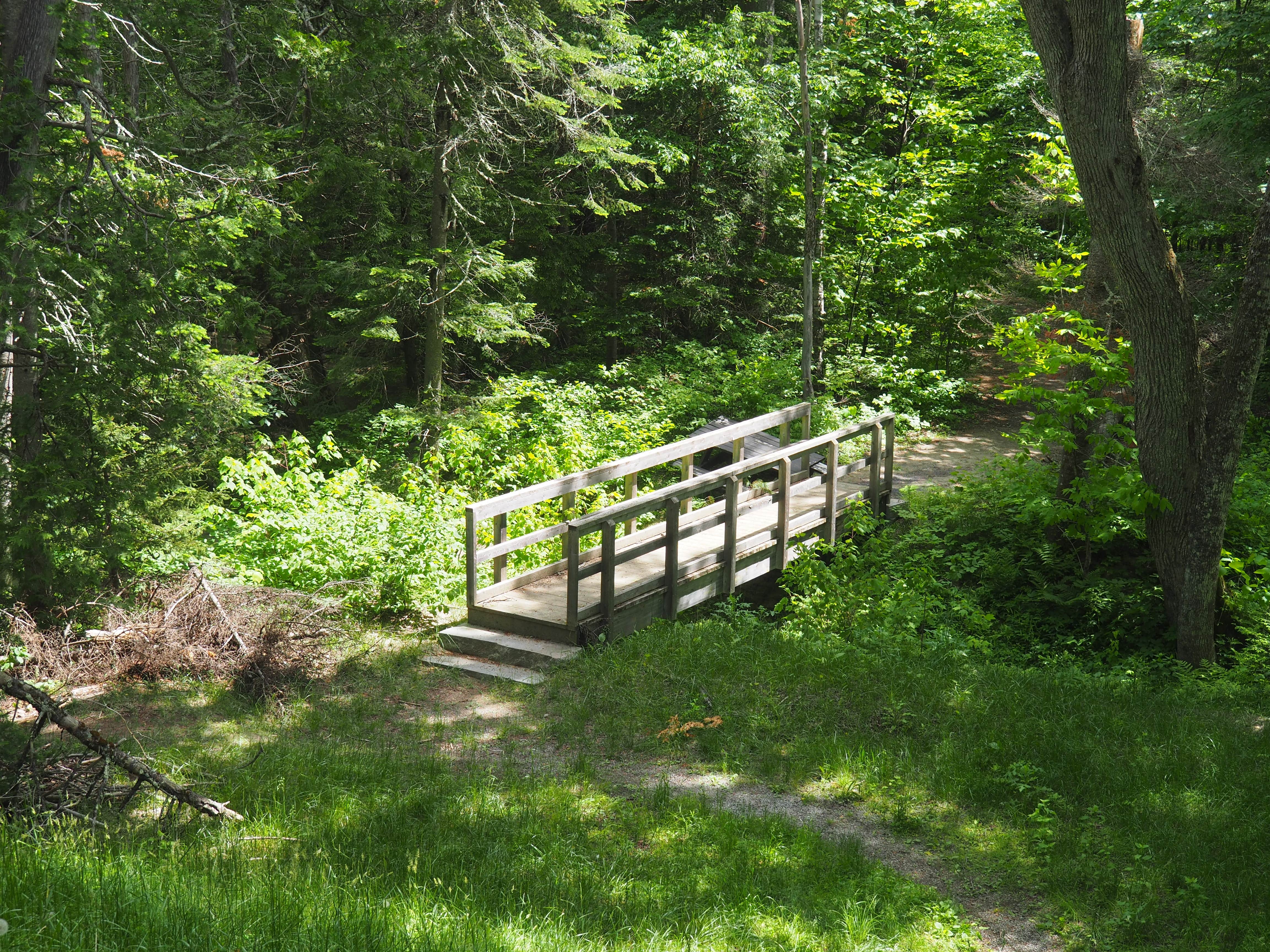 Camper submitted image from Frontier Town Campground - 2
