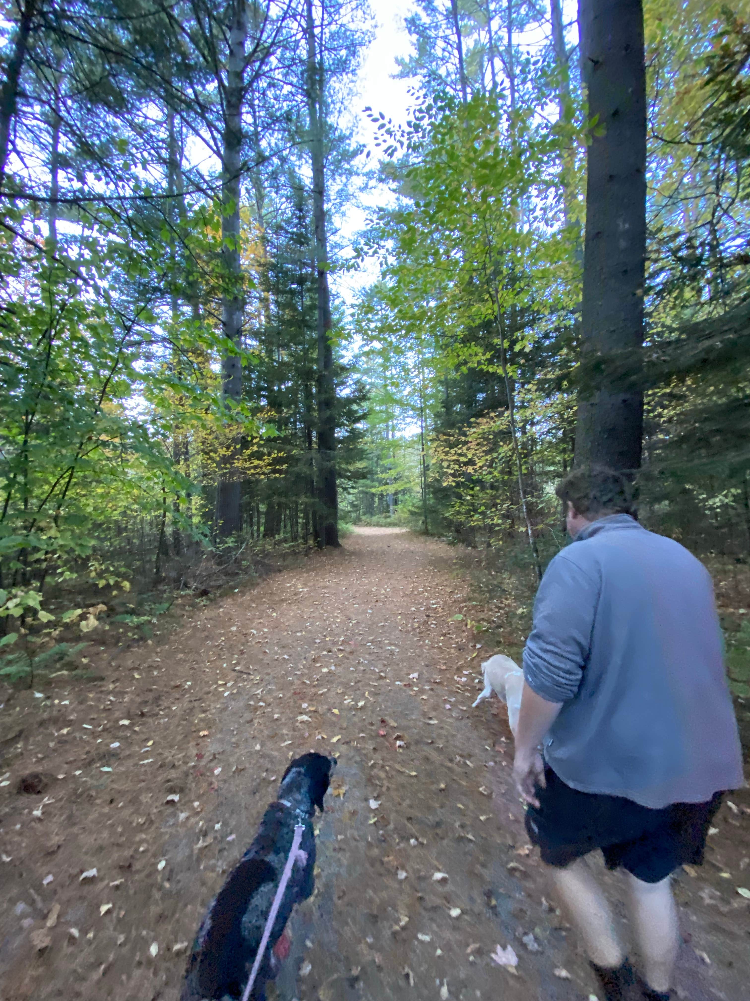 Chelsea B.'s photo of camping with pets at Frontier Town Campground near Crown Point, NY
