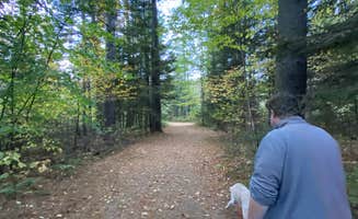 Chelsea B.'s photo of camping with pets at Frontier Town Campground near Lake Placid, NY