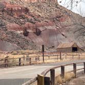 Review photo of Fruita Campground — Capitol Reef National Park by Ursula , March 6, 2026