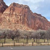 Review photo of Fruita Campground — Capitol Reef National Park by Ursula , March 6, 2026