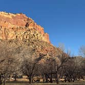 Review photo of Fruita Campground — Capitol Reef National Park by Meghan S., March 13, 2025