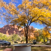 Review photo of Fruita Campground — Capitol Reef National Park by Sophie , October 13, 2023