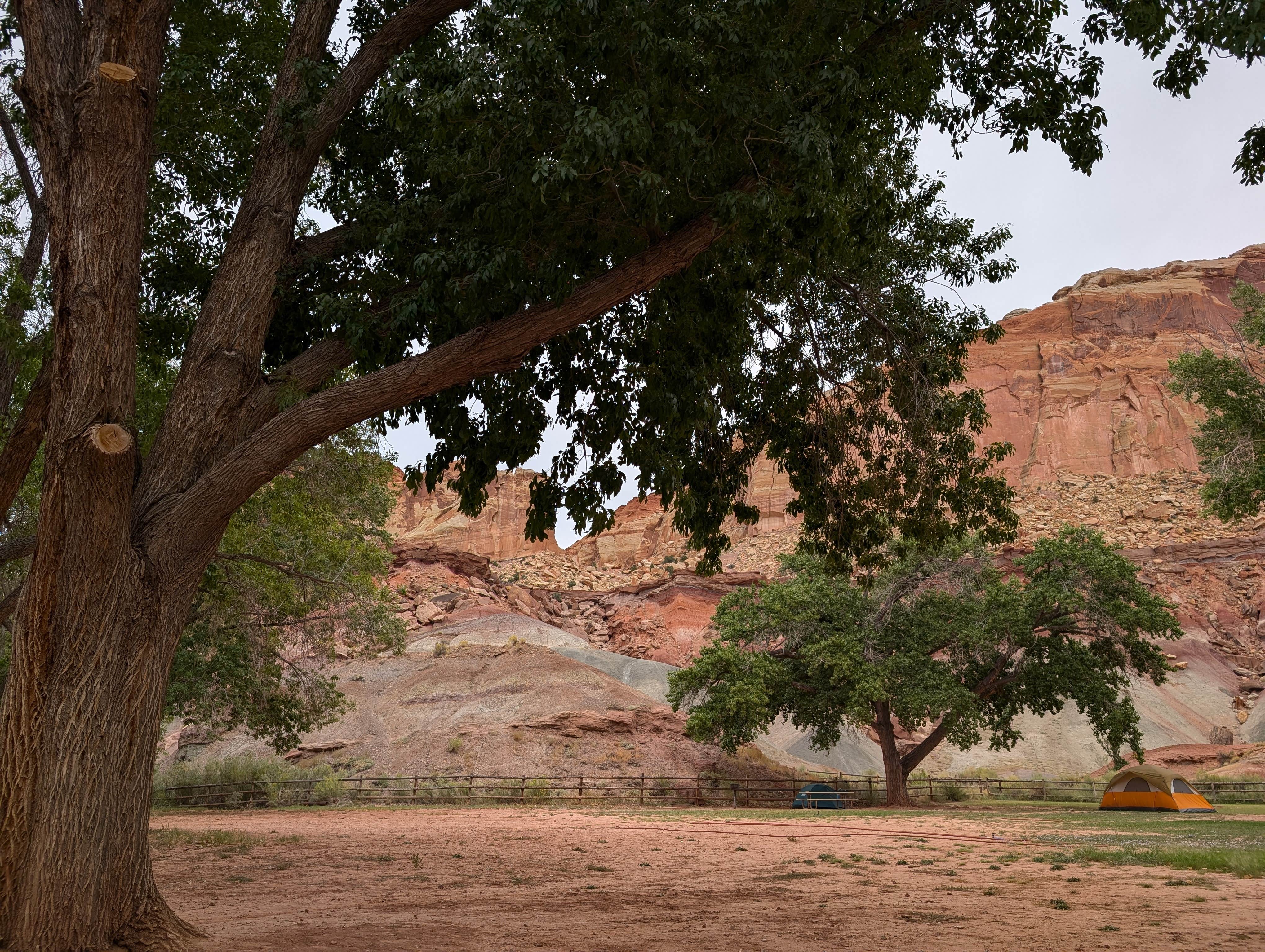 Michael G.'s photo at Fruita Campground — Capitol Reef National Park near Capitol Reef National Park