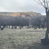 Review photo of Fruita Campground — Capitol Reef National Park by Ursula , March 6, 2026