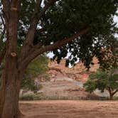 Review photo of Fruita Campground — Capitol Reef National Park by Michael G., September 12, 2024