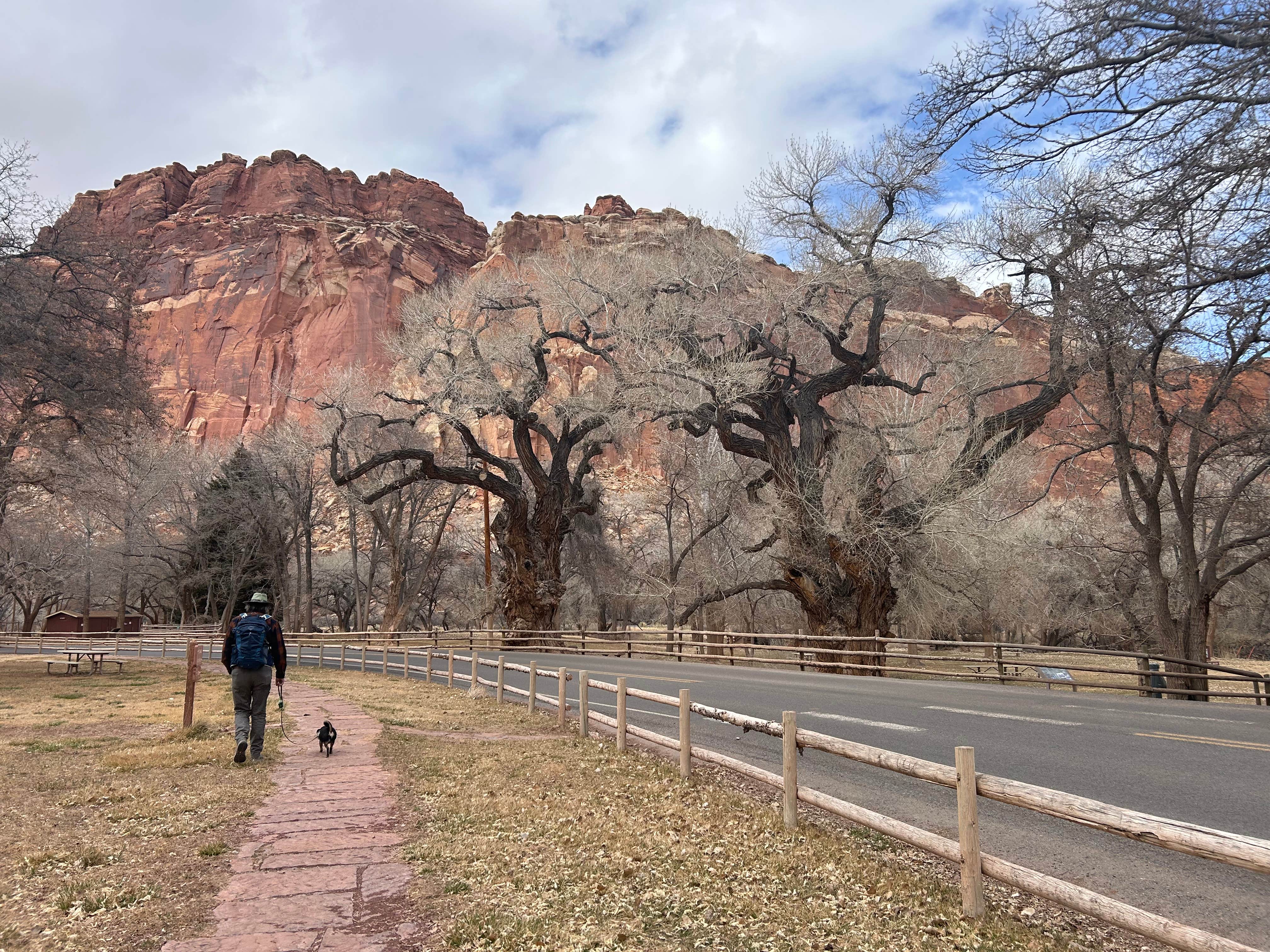 Ursula's photo of camping with pets at Fruita Campground — Capitol Reef National Park in Utah