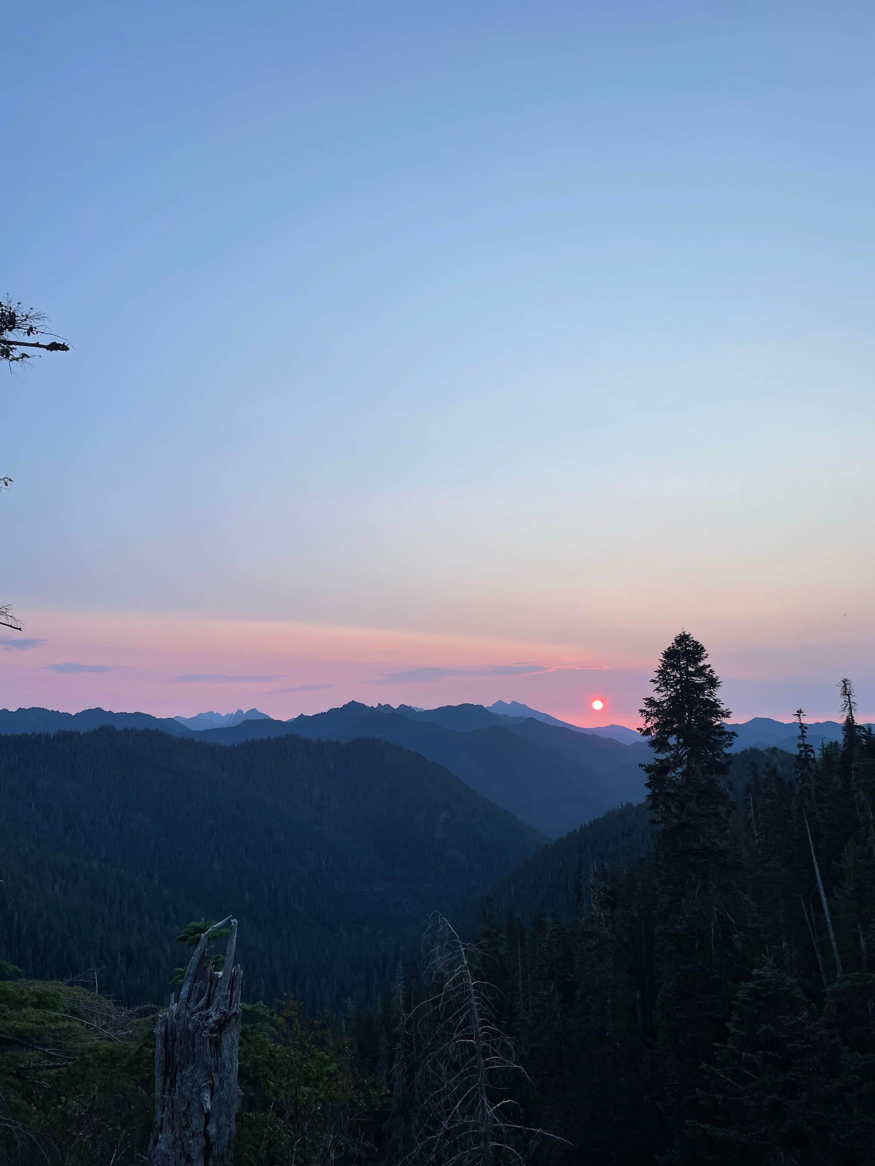Danielle S.'s photo of a dispersed camping area at FS-2292 Dispersed near Bremerton, WA