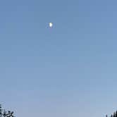 Review photo of FS-2292 Dispersed by Lisa G., July 7, 2025