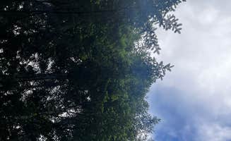 Karson M.'s photo of a dispersed camping area at FS-2292 Dispersed near Aberdeen, WA