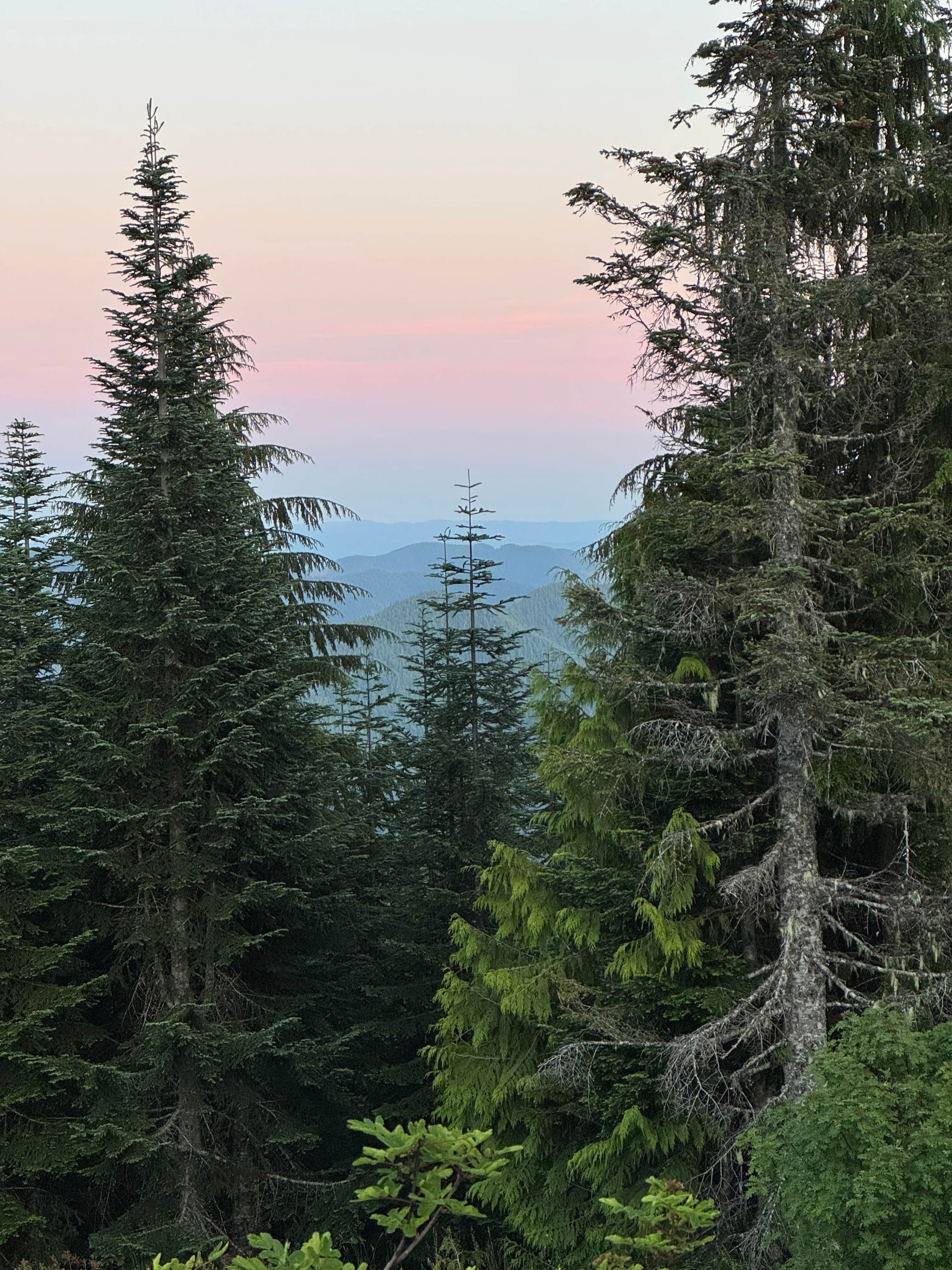 Camper-submitted photo at FS-2292 Dispersed near Olympia, WA