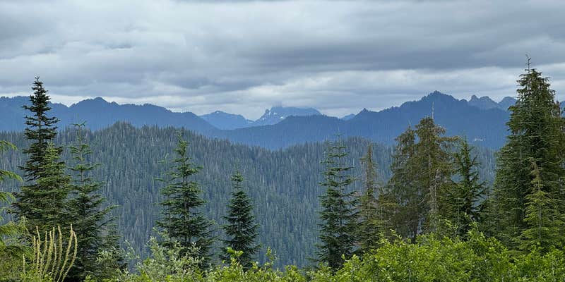 Camper submitted image from FS-2292 Dispersed