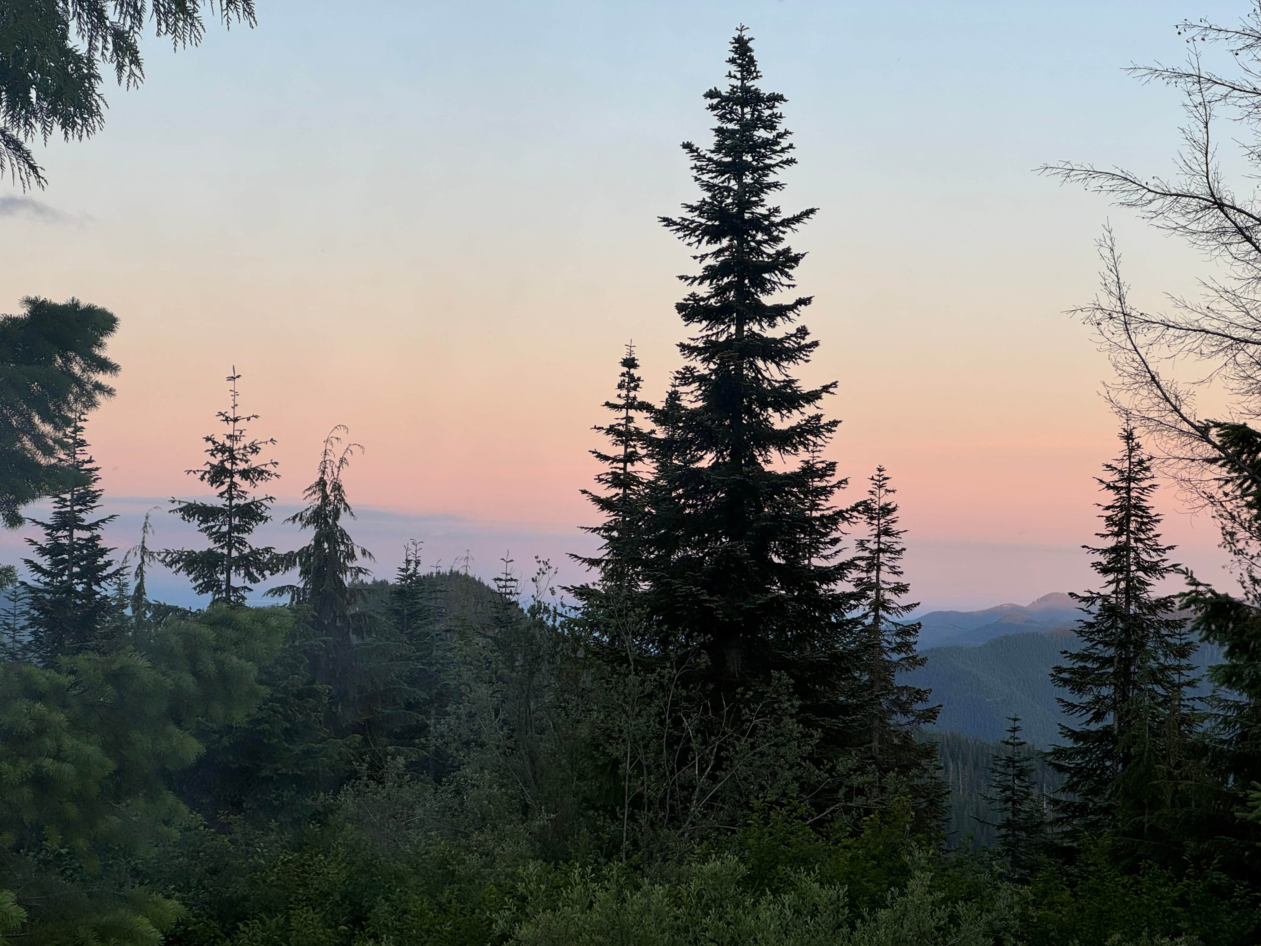 Camper-submitted photo at FS-2292 Dispersed near Westport, WA